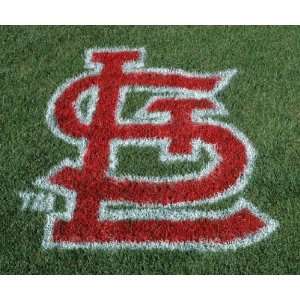  MLB St. Louis Cardinals Lawn Logo: Sports & Outdoors