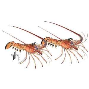 Guy Harvey Florida Lobster Decal WHITE