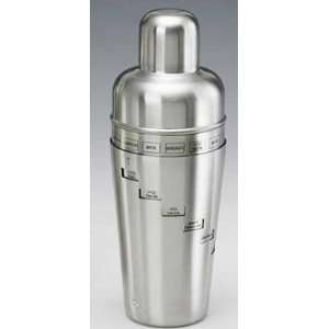   Stainless Steel Cocktail Shaker with Drink Recipes: Kitchen & Dining