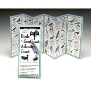  Folding Guides   Birds Southeast Atlantic Coast   64 