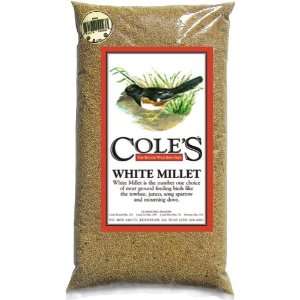  White Millet 10 lbs.   for Ground Feeding Birds 