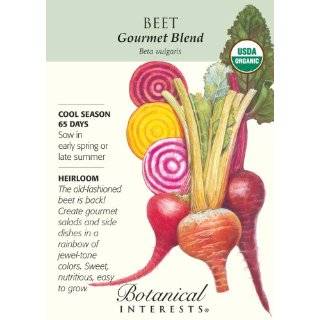   Squash Black Beauty Zucchini Certified Organic Heirloom Seeds 25 Seeds