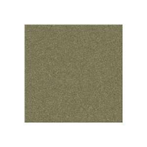   Apple Horizon World Charm Pale Ash Carpet Flooring