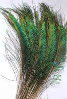 50 SWORD PEACOCK FERN FEATHER 10 13  LEFTS & RIGHTS  