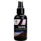 planet waves shine spray cleaner maintainer 