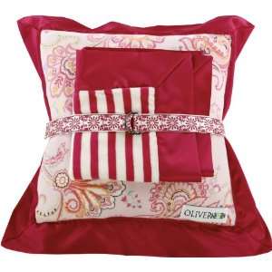  Mini Travel Blanket and Pillow Set in Fuchsia Paisley 
