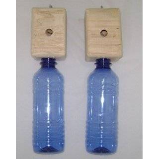  Bees N Things Plastic Bottle Carpenter Bee Trap: Kitchen 