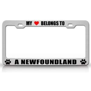 MY HEART BELONGS TO A NEWFOUNDLAND Dog Pet Steel Metal Auto License 