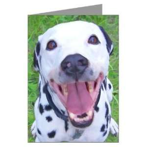  Happy Dalmatian Cool Greeting Cards Pk of 10 by CafePress 