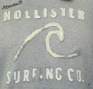 NWT Hollister Men Vintage Classic T  Shirt New M L  