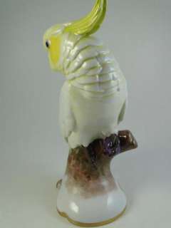 Antique Porcelain Cockatoo Bird Statue Figurine Rosenthal Artist 