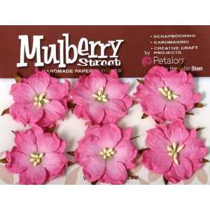  Mulberry Street Handmade Paper Wild Roses 6/Pkg Pi 