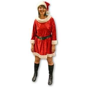  Ladies Christmas Costumes  Miss Santa (Short) Costume Toys & Games