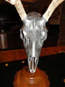 10 pt BRONZED SKULL Mule Deer Pedestal Mount VELVET on Antlers SHEDS 