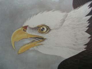 Audubon  Birds of America  White Headed Eagle #31  