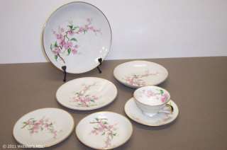 Heinrich Blossomtime Bavarian China 7 Piece Place Setting  
