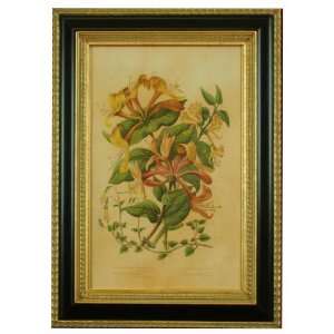  Exquisitely Reproduced Antique Botanical Lithograph 