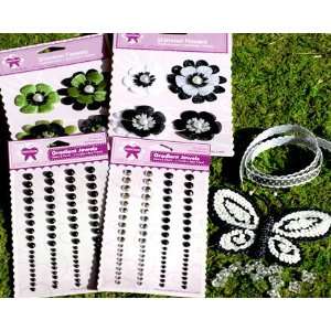  Creative Charms 194 Piece Embellishment Kit   Simply More 