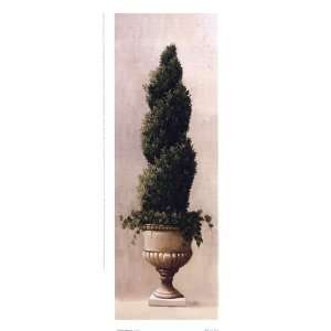  Roman Topiary l Finest LAMINATED Print Welby 5x13