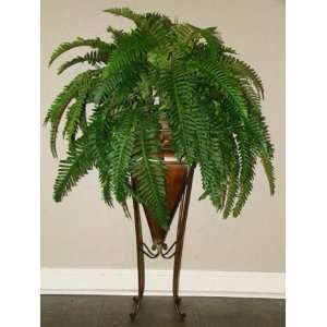  40 Boston Fern in tall tin container: Home & Kitchen