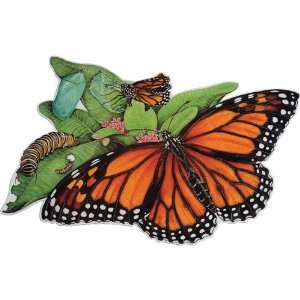  Metamorphosis Butterfly Puzzle Toys & Games