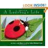  Insect Lore Ladybug Land Toys & Games