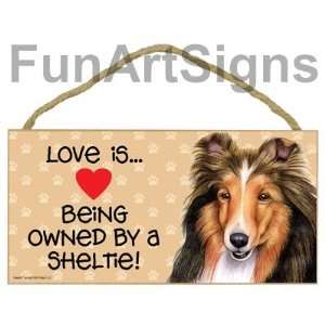  Shetland Sheepdog (Sheltie)   Love Is Being Owned By A Sheltie 