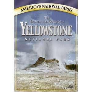  The Sights and Sounds of Yellowstone Artist Not Provided 