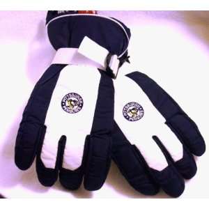   Winter Gloves (LARGE)INSULATED GLOVES TO KEEP YOU WARM Sports