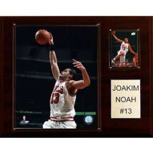  NBA Joakim Noah Chicago Bulls Player Plaque