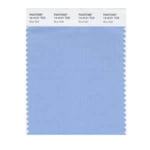   PANTONE SMART 14 4121X Color Swatch Card, Blue Bell: Home Improvement
