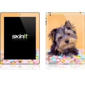  Yorkie Puppy with Candy skin for Apple iPad 2