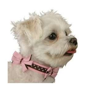 Bow Wow Bows Dog Collar Pink and Brown 