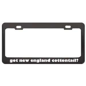 Got New England Cottontail? Animals Pets Black Metal License Plate 