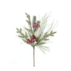  Club Pack of 12 Eco Country Pine, Cedar & Red Berry 