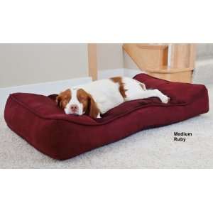  Pillowtop Medium, 42 x 24 Color Brown Pillowtop Pet 