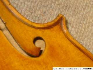 Instrument Type Violins
