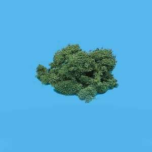  Dollhouse Miniature Evergreen Foliage Toys & Games