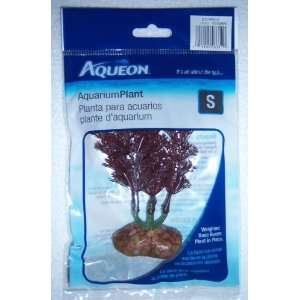  Aqueon 06311 Cypress Aquarium Plant, 6 Inch