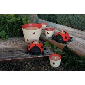  Ladybug Citronella Candle Filled Large Pot / 5 (Outdoor 