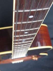   5055 Acoustic Electric Blues Guitar Artist Series F Holes  