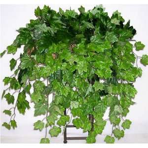 Large Maple Ivy Shelf Plant 