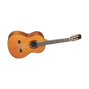   Guitar with Brazilian Rosewood (Standard) Musical Instruments