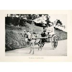  1920 Print Caribbean Barbados Donkey Carriage Wagon Native 