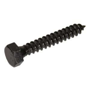  The Hillman Group 12 Pack 2 Stainless Steel Lag Screw 