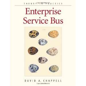  Enterprise Service Bus Theory in Practice [Paperback 