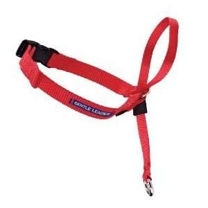   Leader Head Collar includes Bonus DVD and Training Guide; Red Large