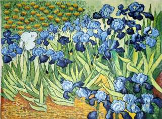 BLUE IRISES in a Field Oil Painting Large 3x4 Van Gogh Style Flowers 