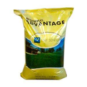 Barenbrug Advantage 50 Lb. Bridgeport II Chewings Fescue Grass Seed 