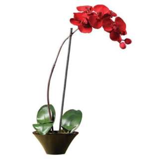 Nearly Natural 20 in. Holiday Phalaenopsis Orchid 4859 at The Home 